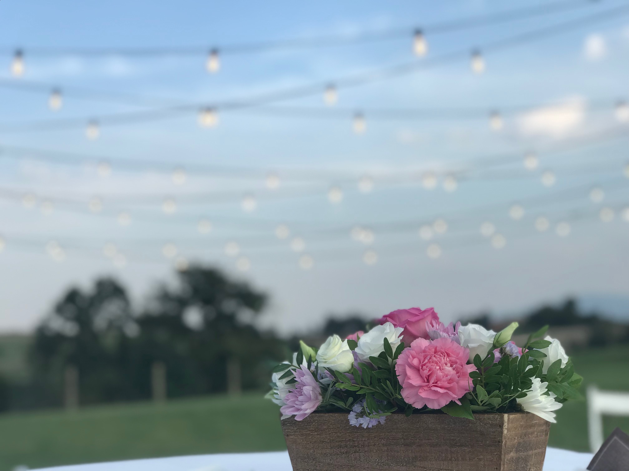 wedding_lights_flowers